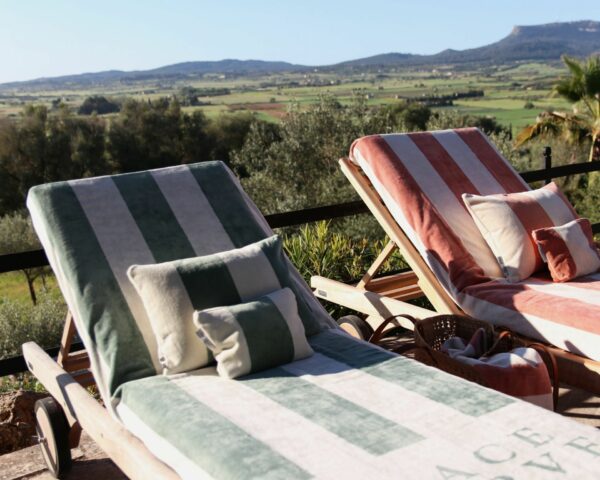 Trousse PLACE RESERVEE - EUCALYPTUS – Image 2