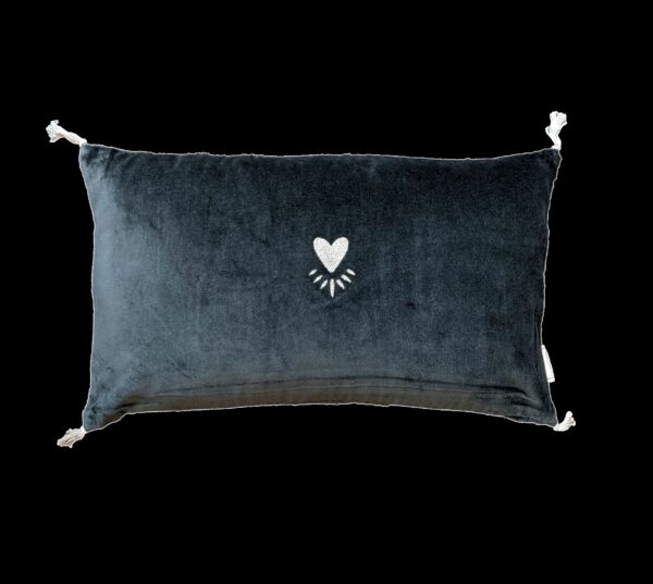 2000049113660-coussin-30x50---velours-coeur---carbonne