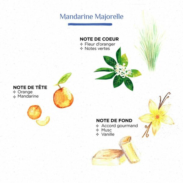 2000000006901-bougie-zebre-l-mandarine-majorelle