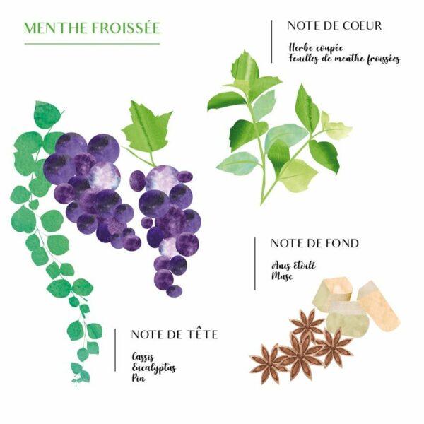 2000049115619-bougie-scents-of-morocco---menthe-et-the