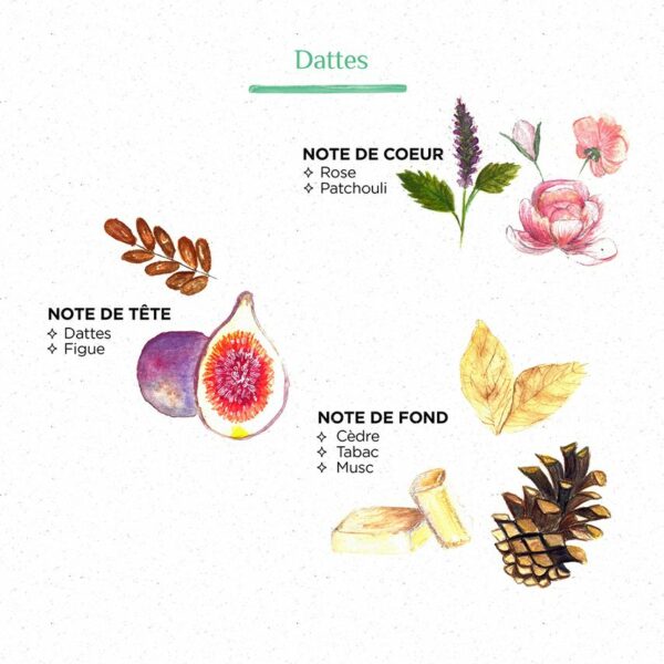 2000000008035-bougie-scents-of-morocco---dattes