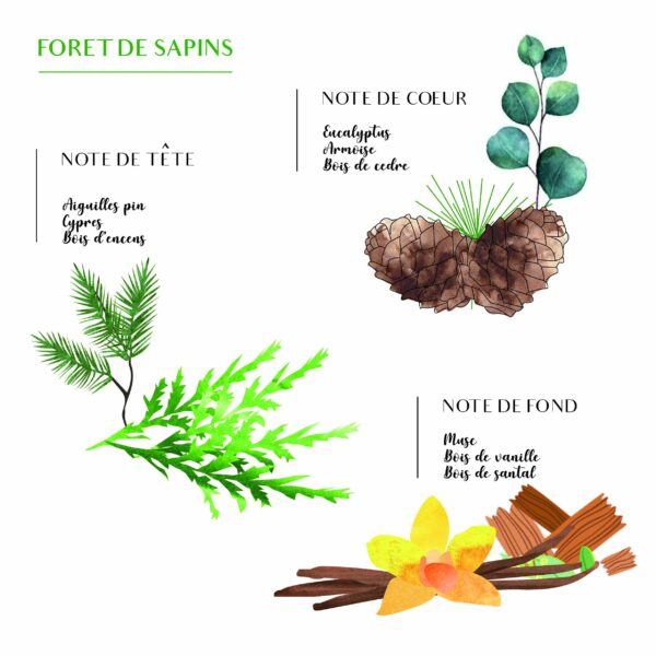 2000049115527-bougie-sabra-gold-m---foret-de-sapin