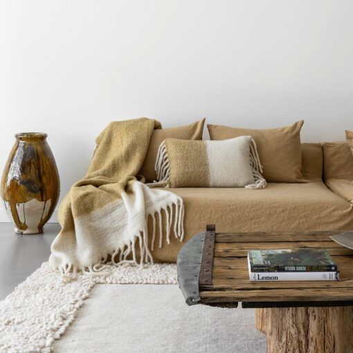 3701501324974-coussin-60x40-van---bronze