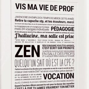 2000049117064-affiche---vis-ma-vie-prof