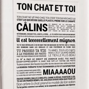 2000049117071-affiche---ton-chat-et-toi