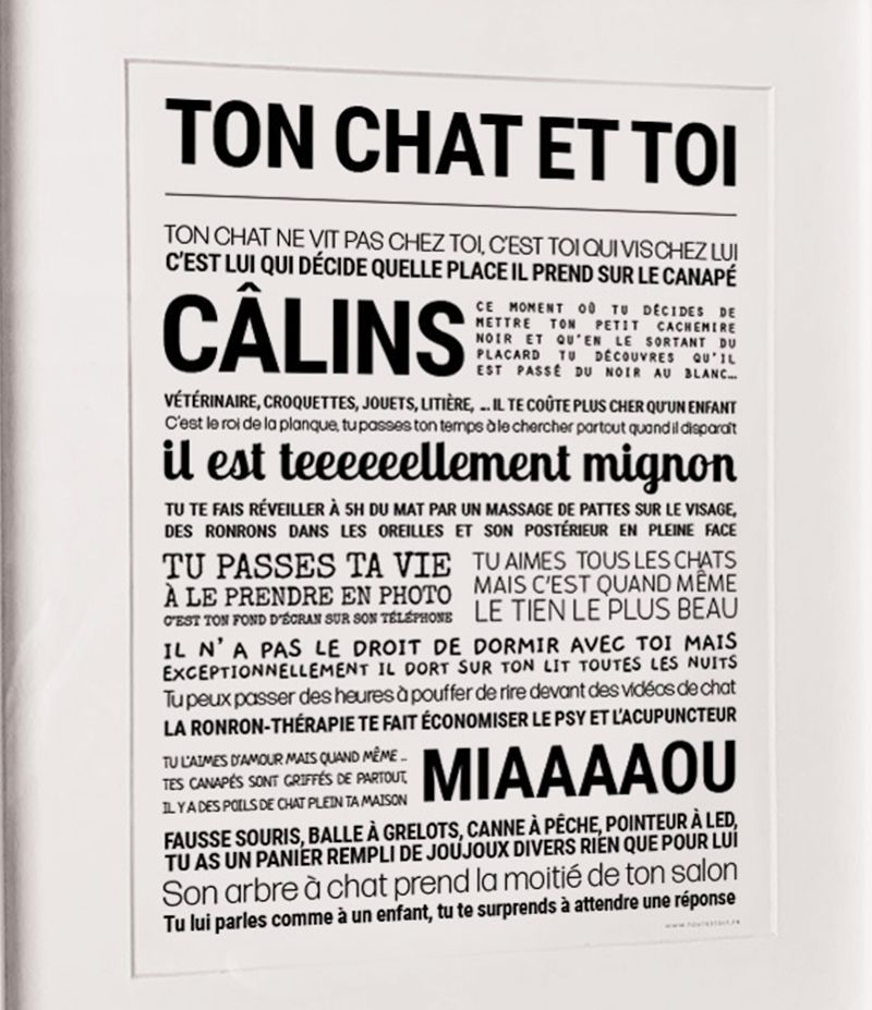 2000049117071-affiche---ton-chat-et-toi