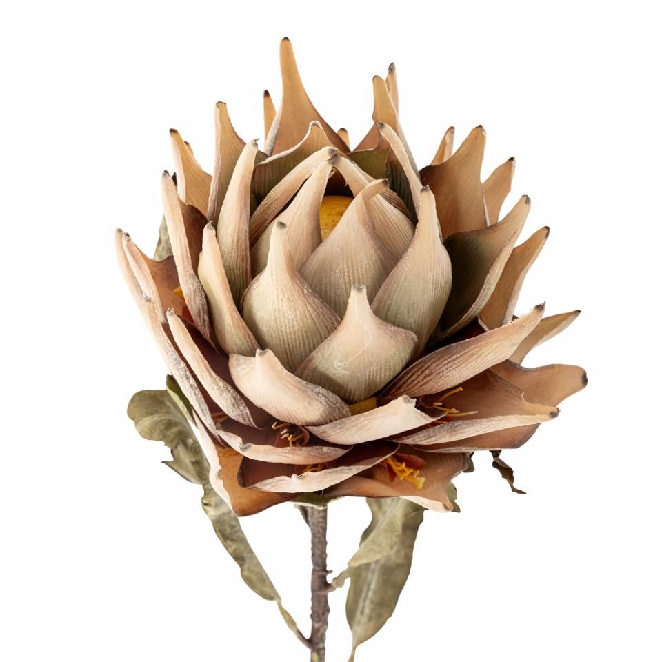 5711173332083-tige-fleur-artificielle---protea--nature
