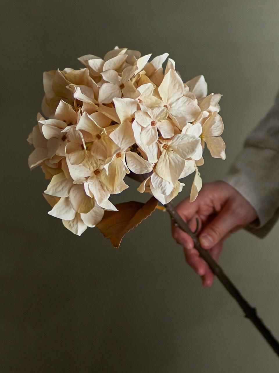 5711173332168-tige-fleur-artificielle---hydrangea---nature
