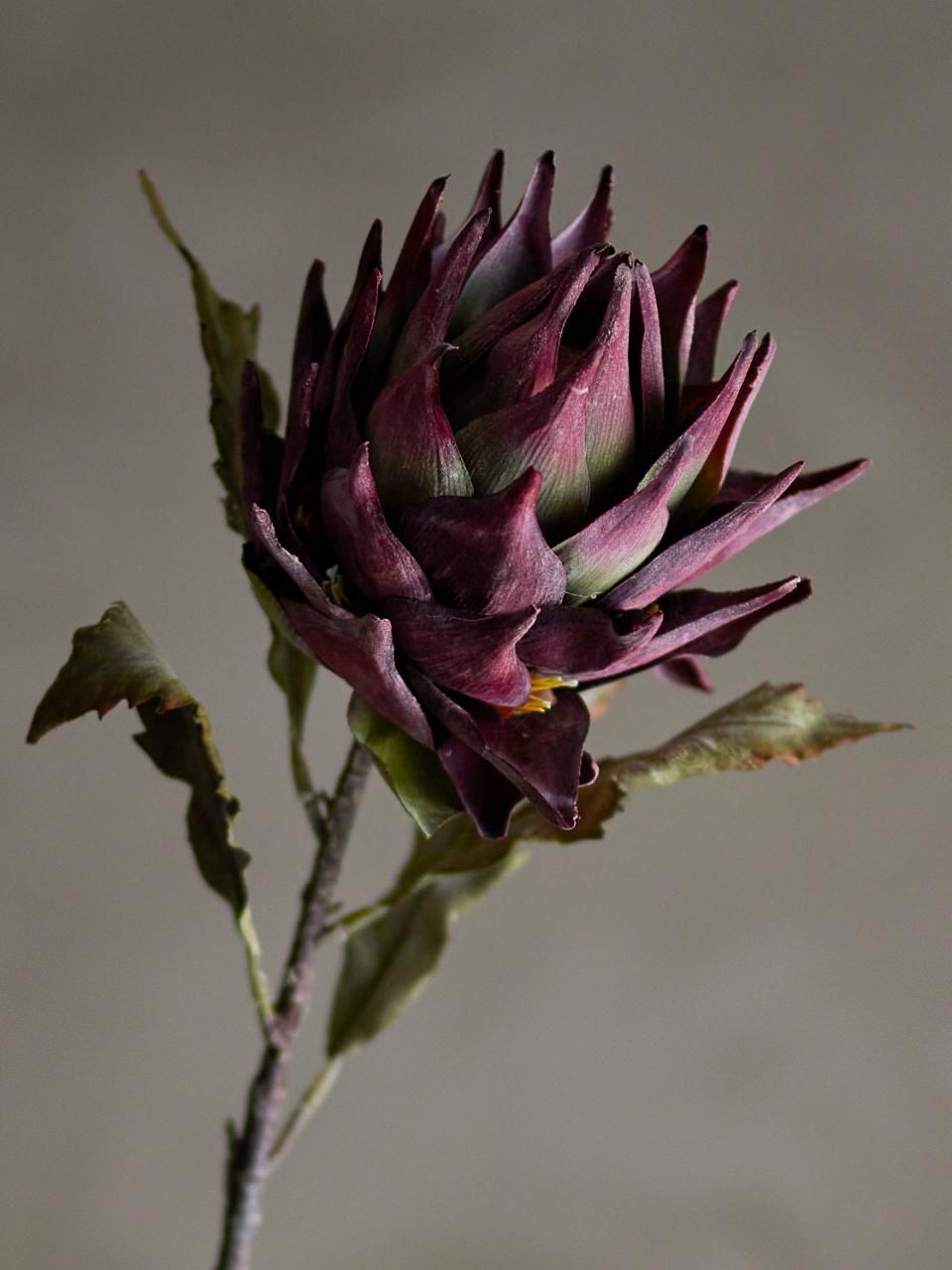 5711173332076-tige-fleur-artificielle---protea--violet