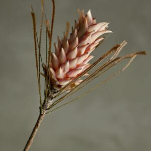 5711173332090-tige-fleur-artificielle---palmflower---rose