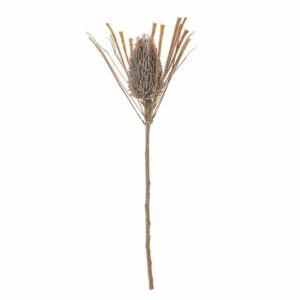 5711173332113-tige-fleur-artificielle---palmflower---marron