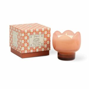 647658074962-bougie-tulipe---rose-et-orange---fleur-de-cactus