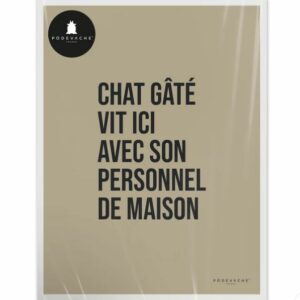 3611841627553-affiche-40x50---chat-gate