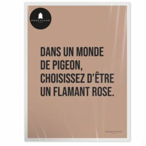 2000049127247-affiche-40x50---monde-de-pigeon