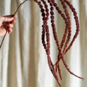 5711173342945-tige-fleur-artifilicielle---foxtail---marron