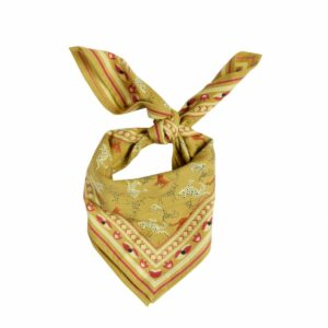 3701407155115-foulard-indienenfant----leopold-absynthe