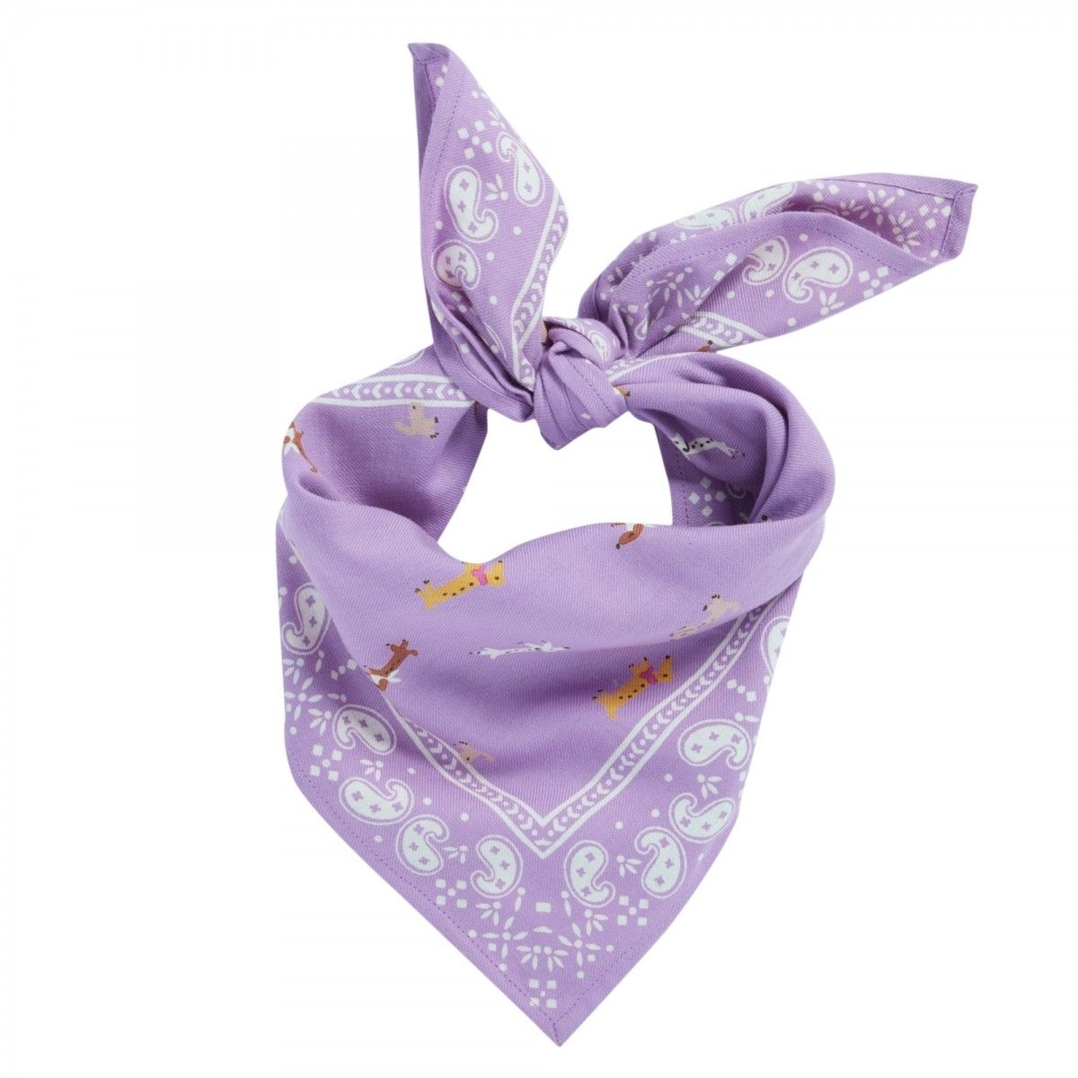 2000049127940-foulard-indienenfant----teckel---mauve