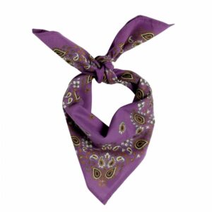 3701407154538-foulard-indienenfant----bandana-violet