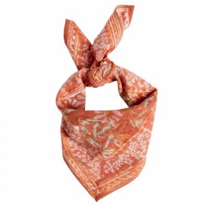 3701407140296-foulard-indienenfant----meera-terracotta